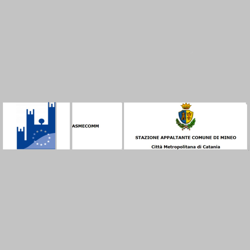 ASMECOMM E STAZIONE APPALTANTE MINEO