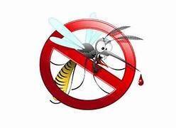 disinfestazione adulticida