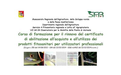 regione sicilia